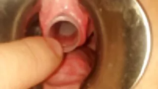 Lovelas dolbeat âm hộ tình phim xet dit co giao dục